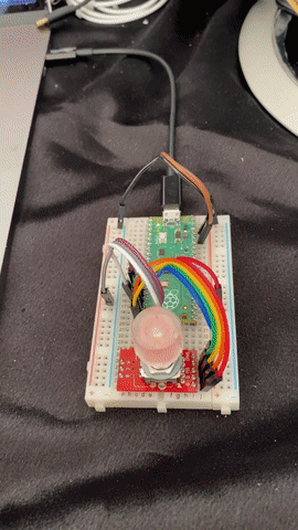 The actual rotary encoder wired up to a Pico on a breadboard. The encoder is red, then flashes green and then blue. The camera comes closer as some fingers start twisting the encoder and it changes colours from green to blue. At intervals the encoder is held down and changes to a brighter blue each time.